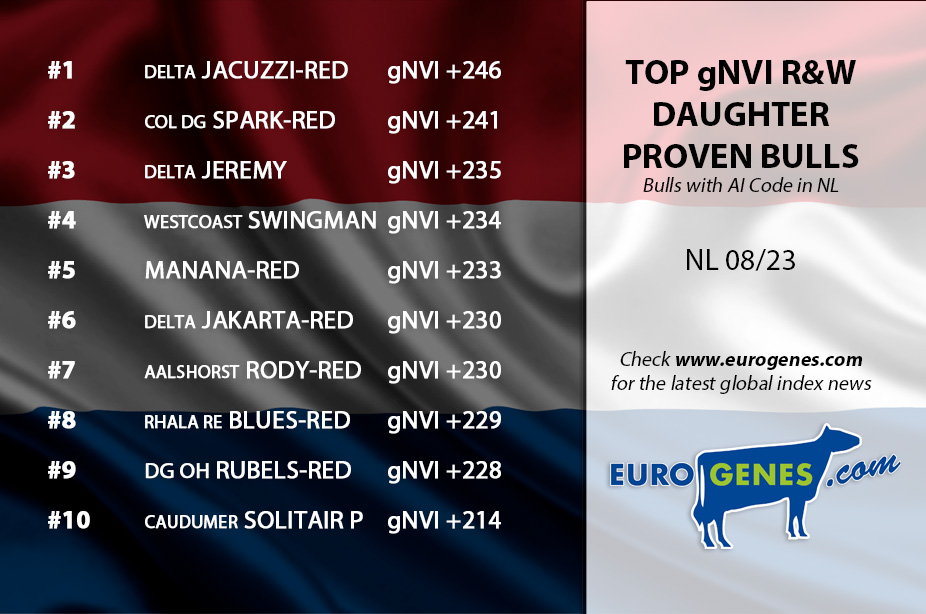New chart toppers in the Dutch rankings!